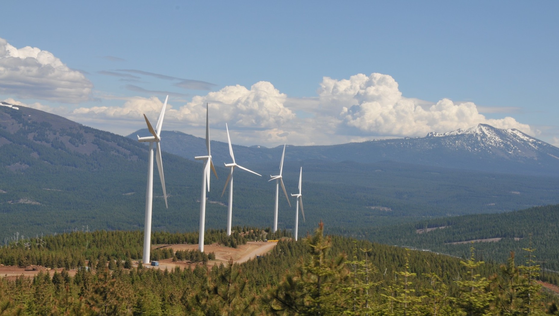Hatchet Ridge Wind Farm